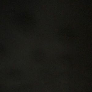 Meet your Posher, Benji